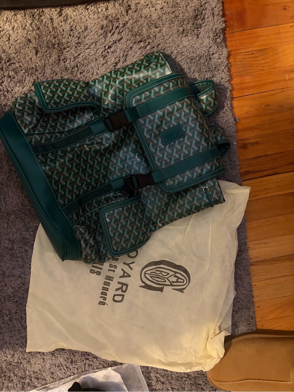 Goyard Green Patterned Canvas Backpack with Leather Trim